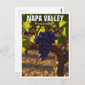 Napa Valley California Senf Blume Postkarte (Vorne/Hinten)