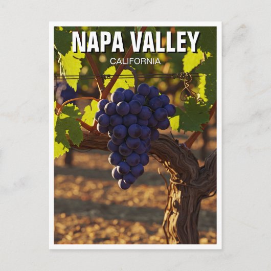 Napa Valley California Senf Blume Postkarte (Vorderseite)
