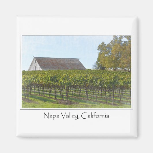 Napa Valley California Weinberg und Stall Magnet (Vorne)