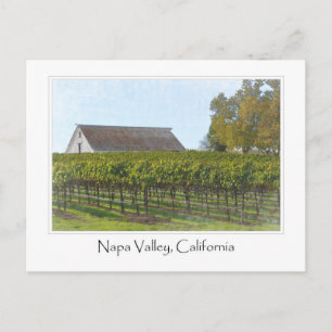 Napa Valley California Weinberg und Stall Postkarte
