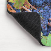 Napa Valley Ernte-Mauspad Mousepad (Ecke)