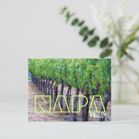 Napa Valley Postcard (Wein) Postkarte (Stehend Vorderseite)