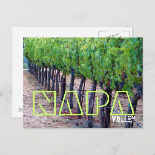 Napa Valley Postcard (Wein) Postkarte (Vorne/Hinten)
