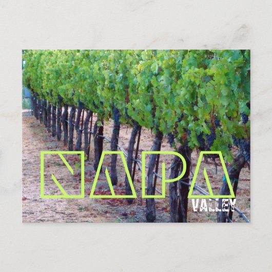 Napa Valley Postcard (Wein) Postkarte (Vorderseite)