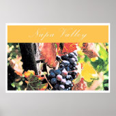 Napa Valley Poster (Vorne)