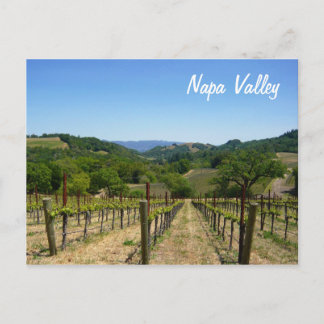 Napa Valley Postkarte