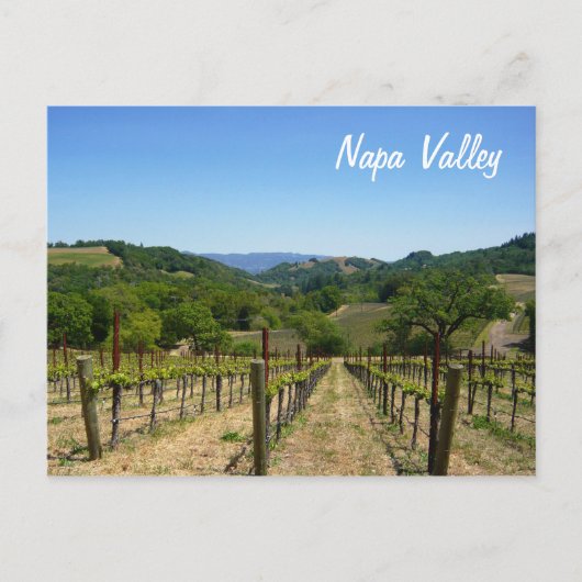 Napa Valley Postkarte (Vorderseite)