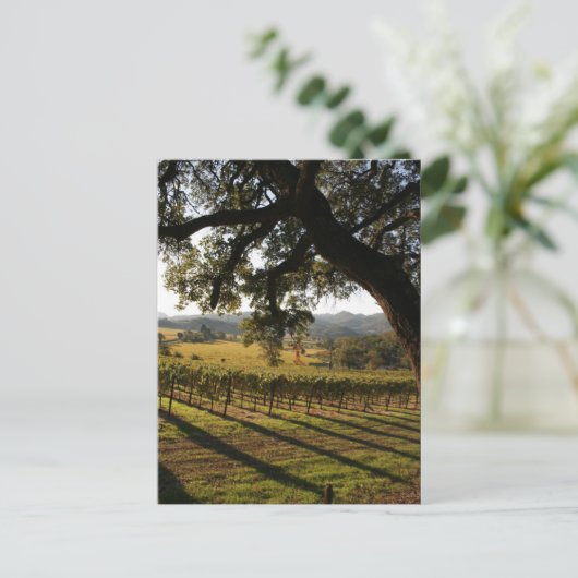NAPA VALLEY POSTKARTE (Stehend Vorderseite)