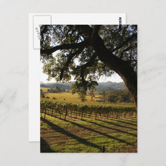 NAPA VALLEY POSTKARTE (Vorne/Hinten)
