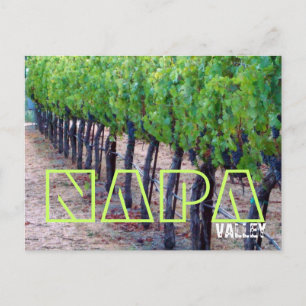 Napa Valley Postkarte (Wein)