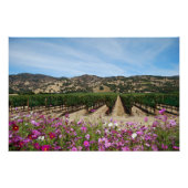 Napa Valley Vineyard mit Cosmos Poster (Vorderseite)