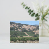 Napa Valley Vineyard Scape Postkarte (Stehend Vorderseite)