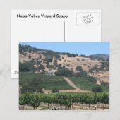 Napa Valley Vineyard Scape Postkarte (Vorne/Hinten)