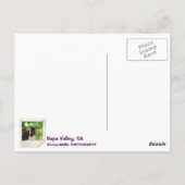 Napa Valley Vineyards Postcard! Postkarte (Rückseite)