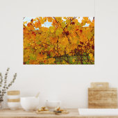 Napa Valley Wein Weinroute Poster (Küche)