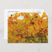 Napa Valley Wein Weinroute Postkarte (Vorne/Hinten)