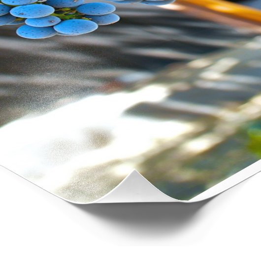 Napa Valley Weinkeller Trauben Fotodruck (Ecke)