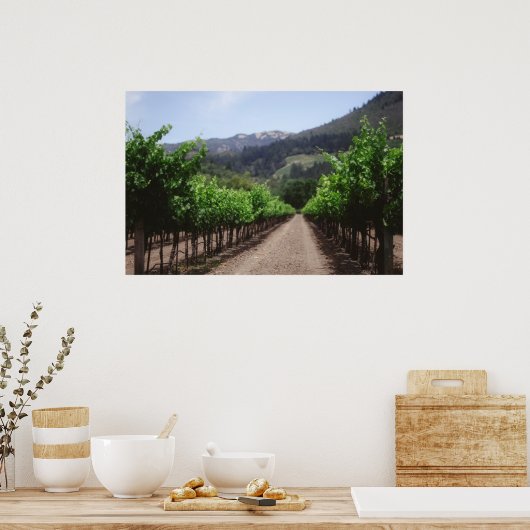 Napa Vineyard Poster (Küche)