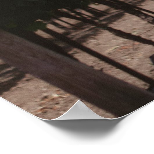 Napa Vineyard Poster (Ecke)