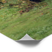 Napa-Weinberg-Poster Poster (Ecke)