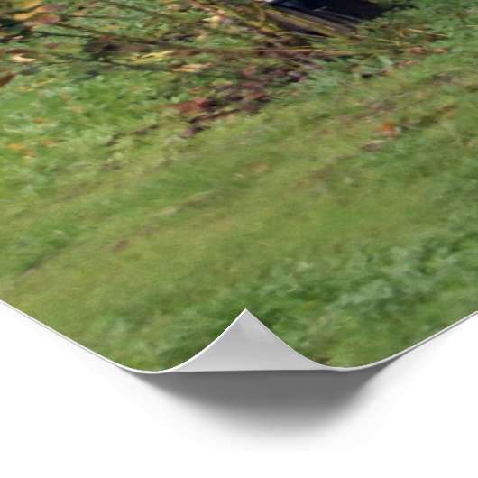 Napa-Weinberg-Poster Poster (Ecke)