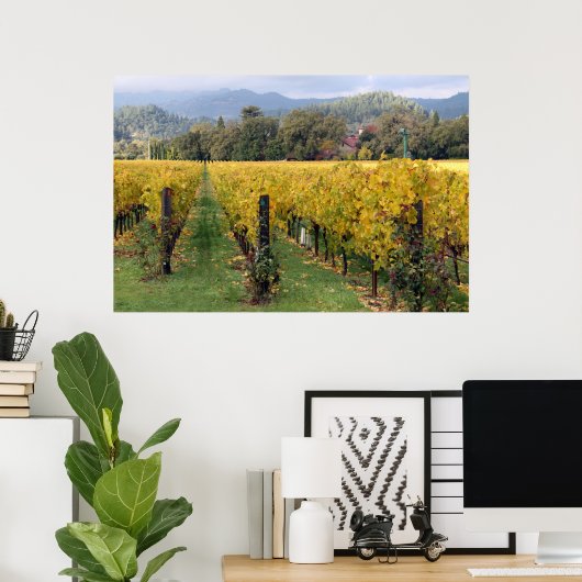 Napa-Weinberg-Poster Poster (Heimbüro)