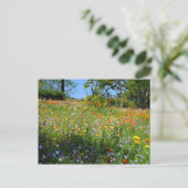 Napa Wildblumenkarte Postkarte (Stehend Vorderseite)