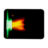 Napier NZ Magnet (Horizontal)