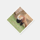 Napkins Foto roter Panda, Tiere 0461. Serviette (Ecke)