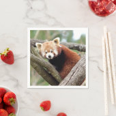 Napkins Foto roter Panda, Tiere 0464. Serviette (Beispiel)