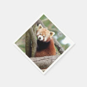 Napkins Foto roter Panda, Tiere 0464. Serviette (Ecke)