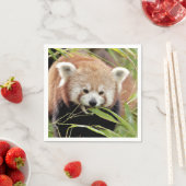 Napkins Foto roter Panda, Tiere 0468. Serviette (Beispiel)