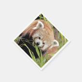 Napkins Foto roter Panda, Tiere 0468. Serviette (Ecke)