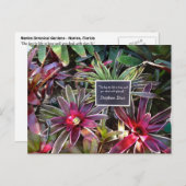 Naples Florida Botanischer Garten Stephen Dias Zit Postkarte (Vorne/Hinten)