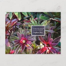 Naples Florida Botanischer Garten Stephen Dias Zit Postkarte