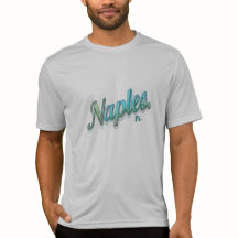 Naples florida dream