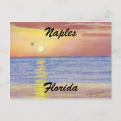 "NAPLES, FLORIDA SUNSET POSTCARD" POSTKARTE (Vorderseite)