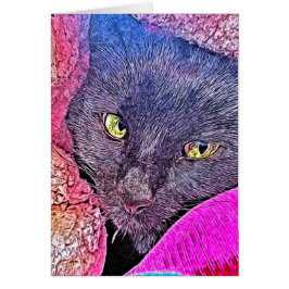 Napoleon in einer Decke