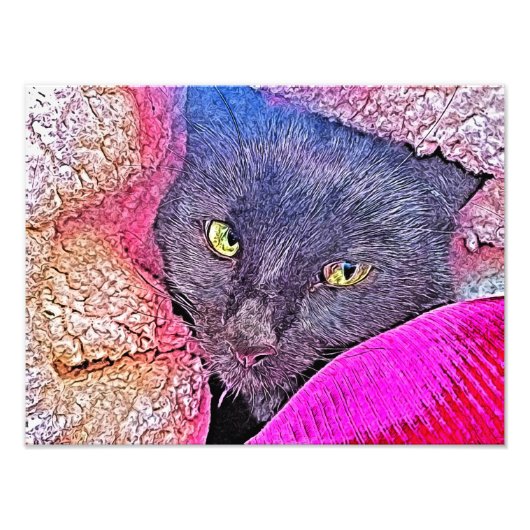 Napoleon in einer Decke Fotodruck (Vorne)