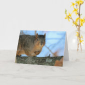 Napoleon Karte (Gelbe Blume)