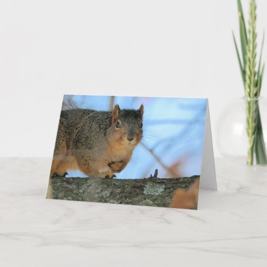 Napoleon Karte (Vorderseite)