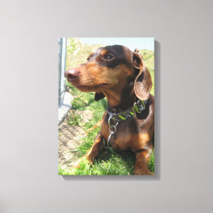 Napoleon Leinwanddruck