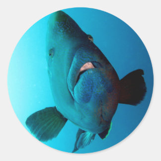 Napoleon Runder Aufkleber