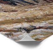 Napoleon über die Kampagne 1814, 1864 Poster (Ecke)