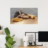 Napping Baby Sea Lions Poster (Heimbüro)