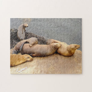 Napping Baby Sea Lions Puzzle