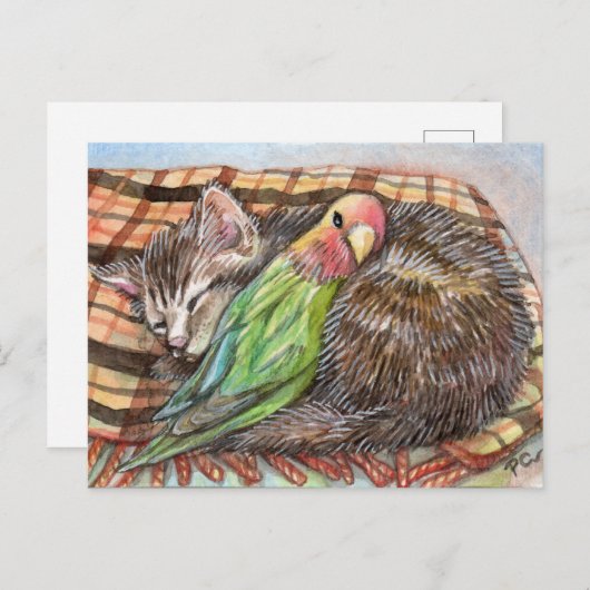 Napping Buddy Postkarte (Vorne/Hinten)