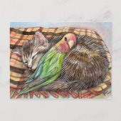Napping Buddy Postkarte (Vorderseite)