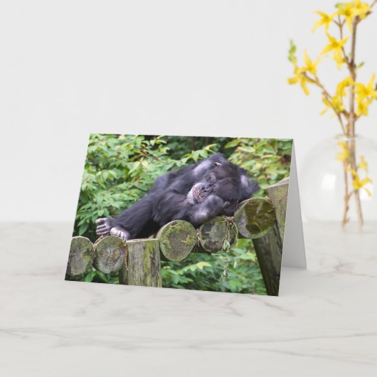Napping Chimpanzee Birthday Spaß Karte (Gelbe Blume)