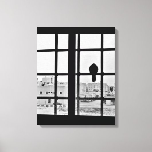 Napping Dove Leinwanddruck (Vorderseite)